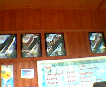 The photo of the log flume