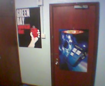 American idiot and the TARDIS