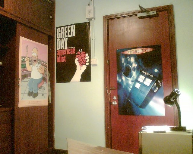 Homer simpson, American Idiot, and the TARDIS