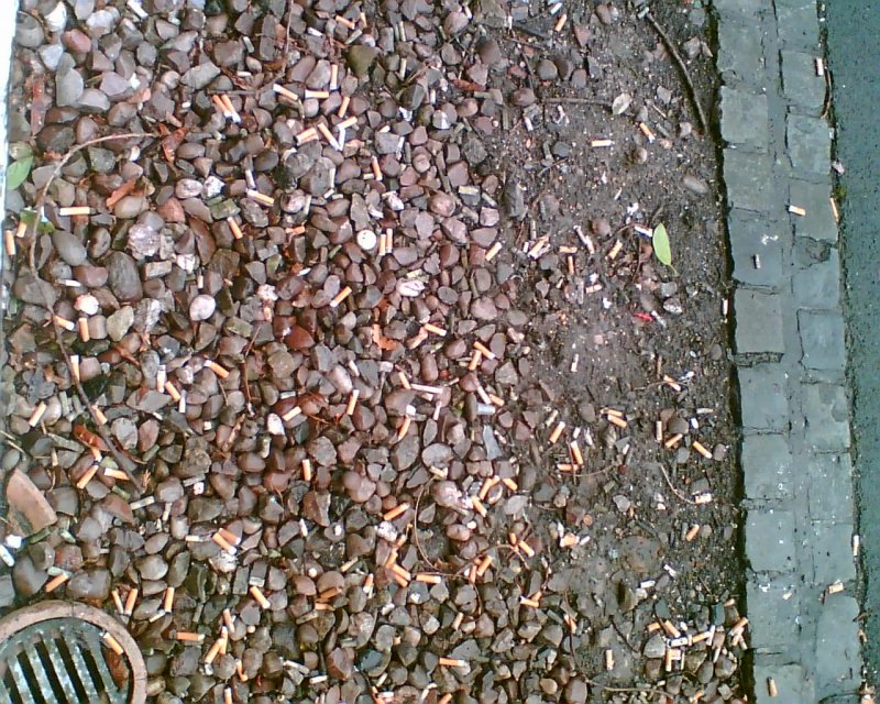 A lot of cigarette ends